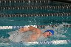 Swimming vs Babson  Wheaton College Swimming vs Babson College. - Photo By: KEITH NORDSTROM : Wheaton, Swimming, Babson